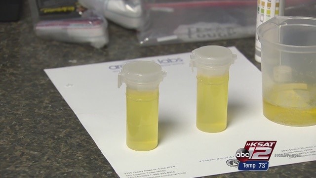 Can Synthetic Urine Be 
      Detected In A Lab Clover Meadows Brighton CO